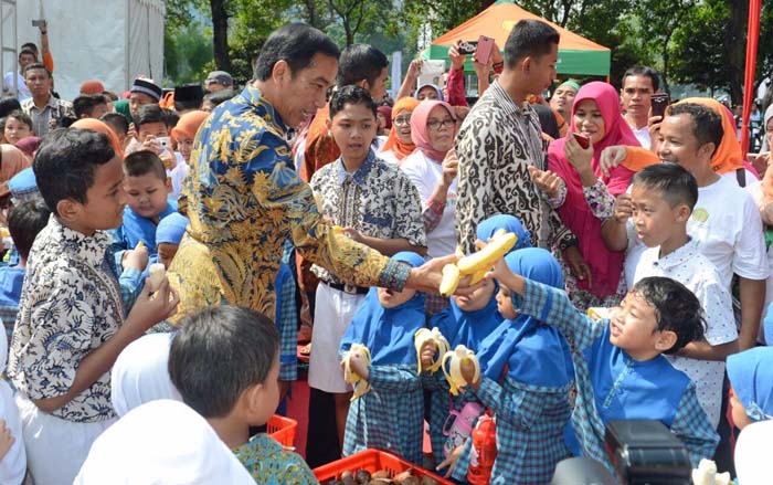 Presiden Instruksikan Mentan Siapkan Lahan Khusus Produksi Buah-buahan Lokal